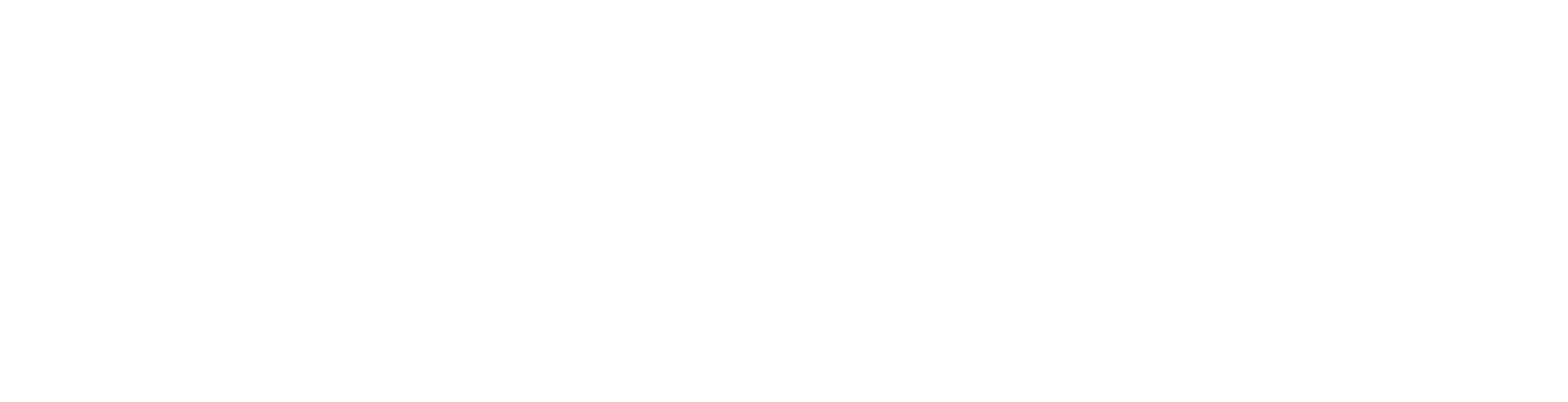 Numerical Mechanics